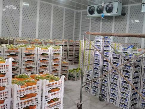 冷庫(kù)輕微冰堵與嚴(yán)重冰堵的處理方式