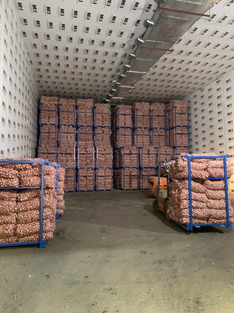 大蒜冷庫(kù)儲(chǔ)存技術(shù)要點(diǎn)