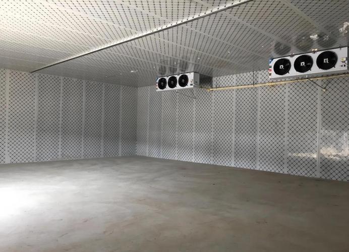 一間冷庫，藏著生活的溫度與生機(jī)